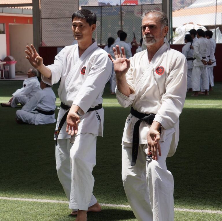 Fotos sensei Luis Huncal
